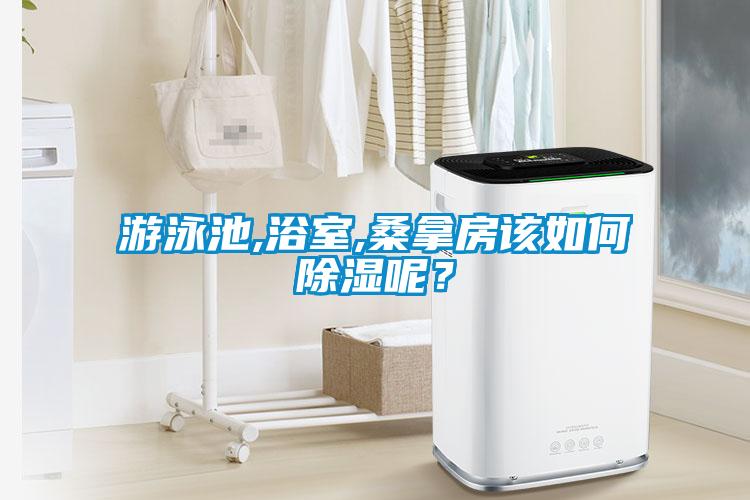 游泳池,浴室,桑拿房該如何除濕呢？