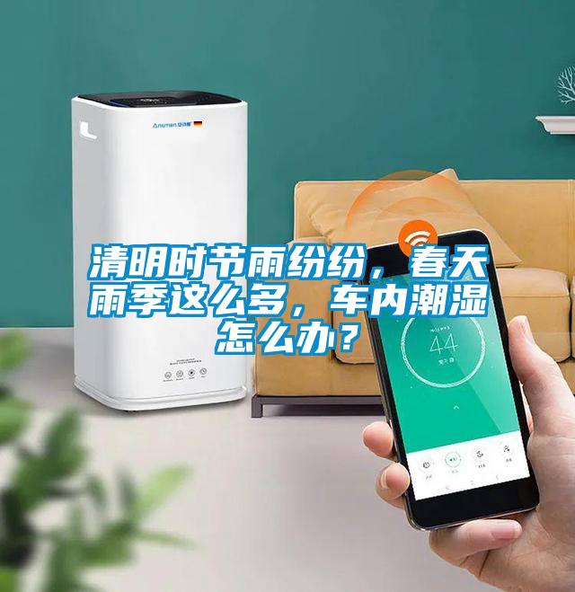 清明時(shí)節雨紛紛，春天雨季這么多，車(chē)內潮濕怎么辦？