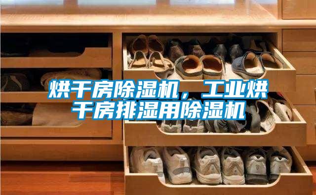 烘干房除濕機，工業(yè)烘干房排濕用除濕機