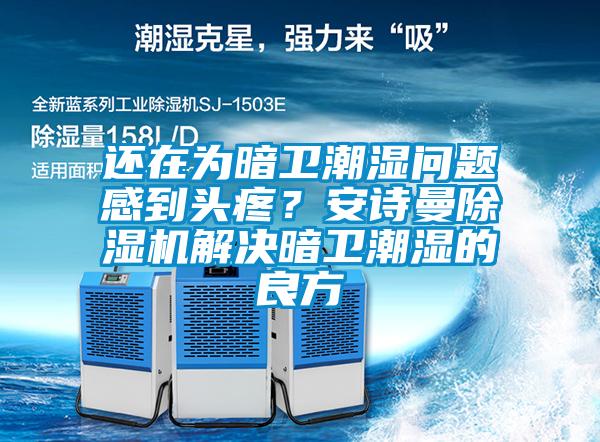 還在為暗衛潮濕問(wèn)題感到頭疼？安詩(shī)曼除濕機解決暗衛潮濕的良方