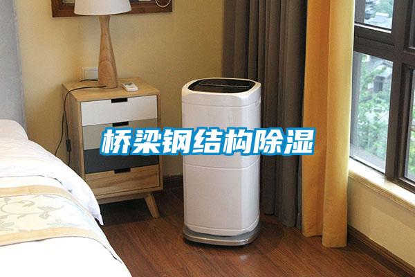 橋梁鋼結構除濕