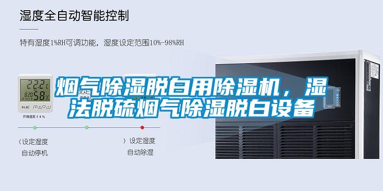 煙氣除濕脫白用除濕機，濕法脫硫煙氣除濕脫白設備