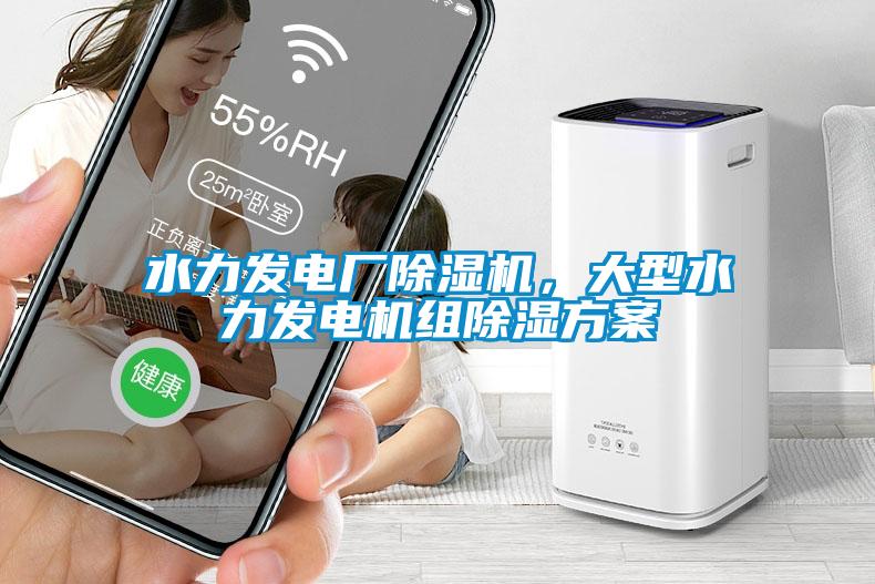 水力發(fā)電廠(chǎng)除濕機，大型水力發(fā)電機組除濕方案