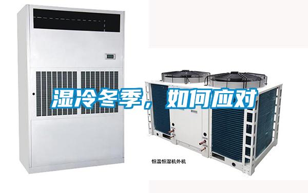 濕冷冬季，如何應對