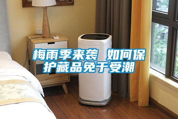 梅雨季來(lái)襲 如何保護藏品免于受潮