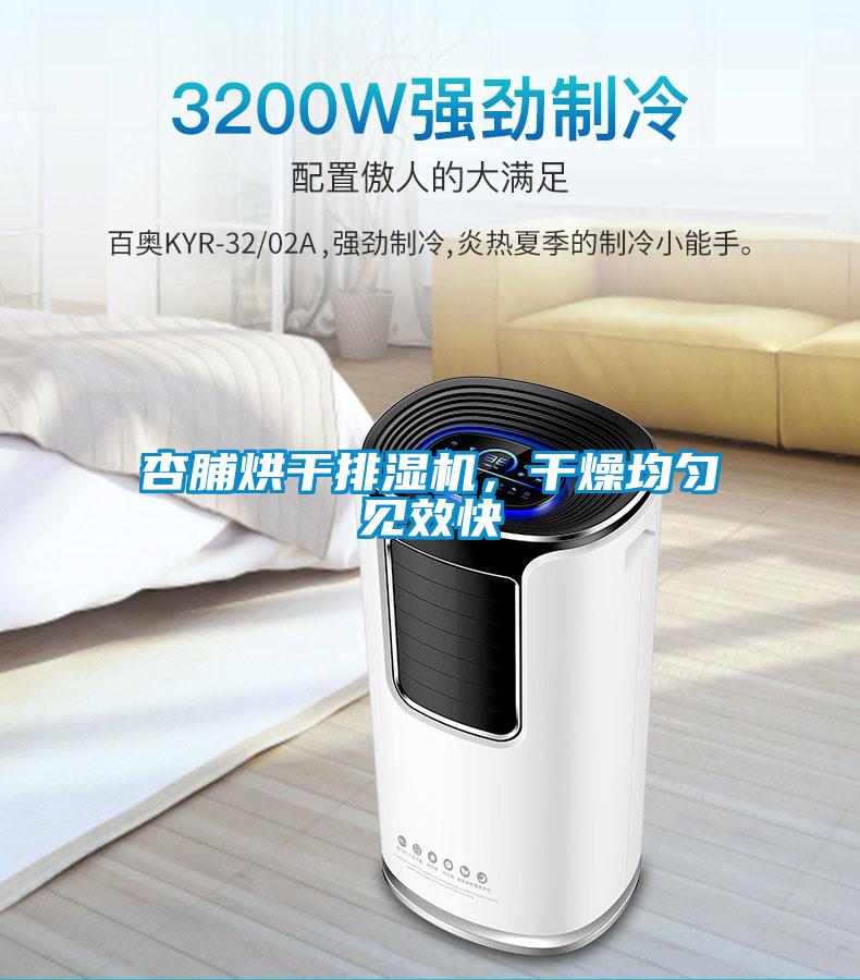 杏脯烘干排濕機，干燥均勻見(jiàn)效快