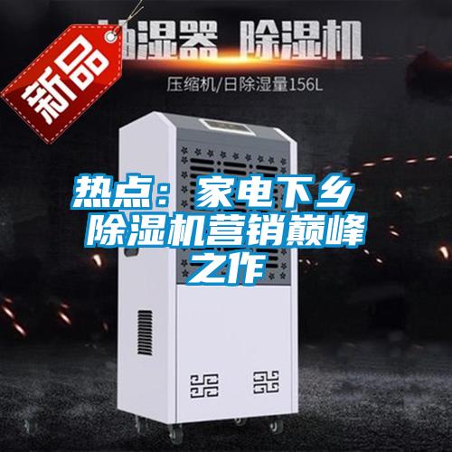 熱點(diǎn)：家電下鄉 除濕機營(yíng)銷(xiāo)巔峰之作
