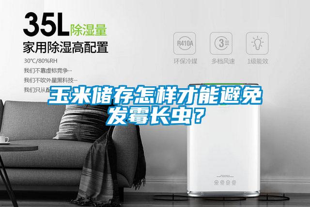 玉米儲存怎樣才能避免發(fā)霉長(cháng)蟲(chóng)？