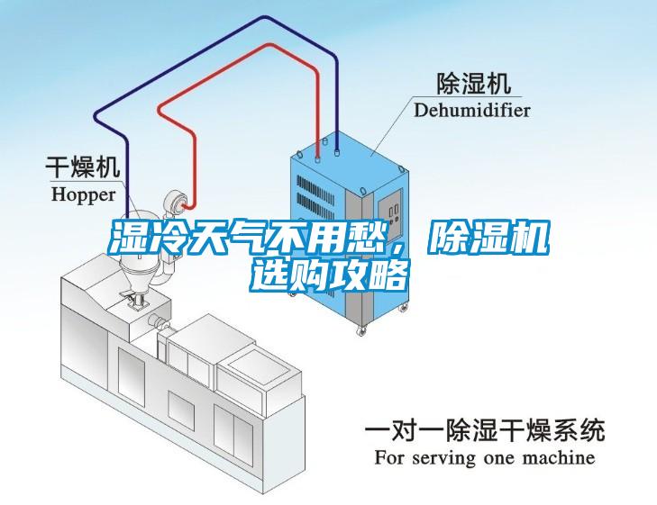 濕冷天氣不用愁，除濕機選購攻略