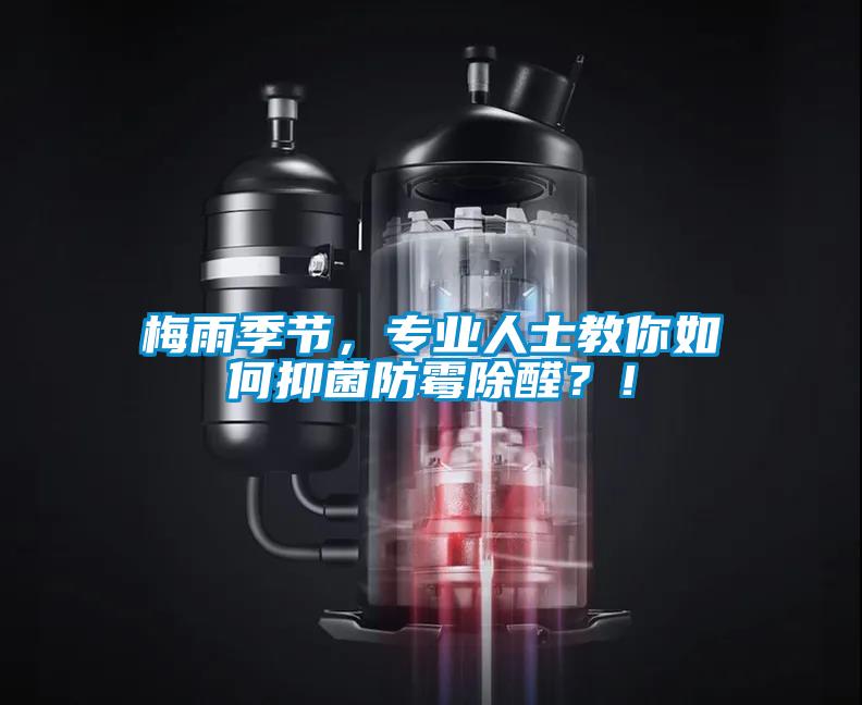 梅雨季節，專(zhuān)業(yè)人士教你如何抑菌防霉除醛？！