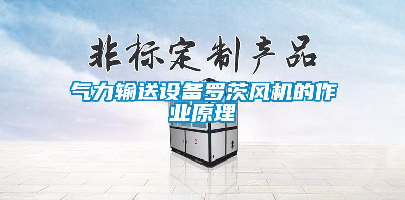 氣力輸送設備羅茨風(fēng)機的作業(yè)原理