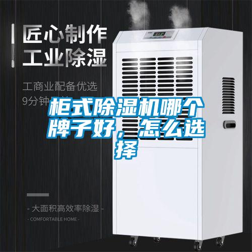 柜式除濕機哪個(gè)牌子好，怎么選擇