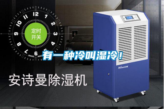 有一種冷叫濕冷！