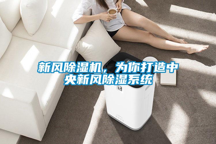新風(fēng)除濕機，為你打造中央新風(fēng)除濕系統
