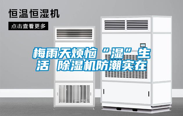 梅雨天煩惱“濕”生活 除濕機防潮實(shí)在