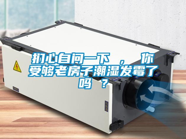 捫心自問(wèn)一下 ， 你受夠老房子潮濕發(fā)霉了嗎 ？