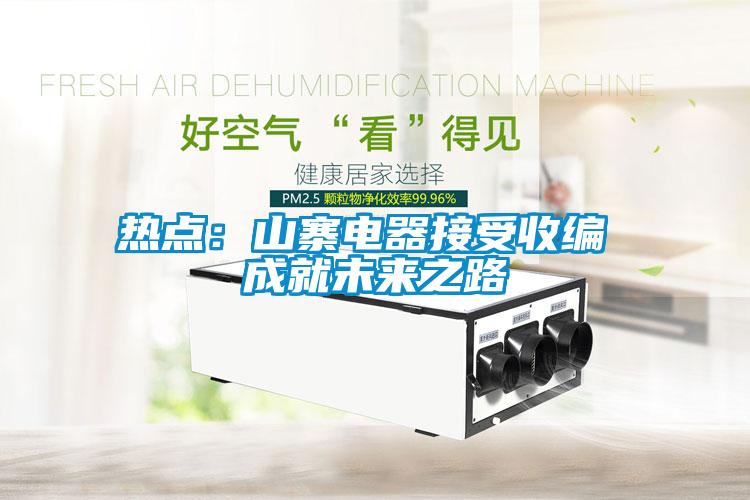 熱點(diǎn)：山寨電器接受收編 成就未來(lái)之路