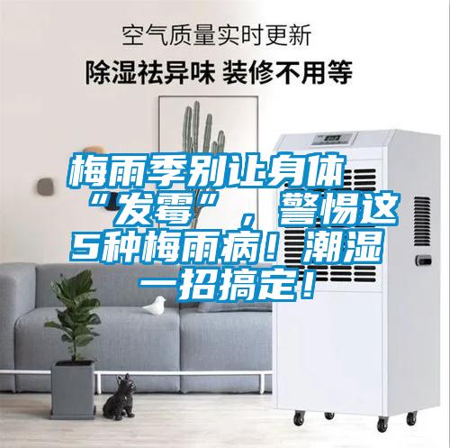 梅雨季別讓身體“發(fā)霉”，警惕這5種梅雨??！潮濕一招搞定！