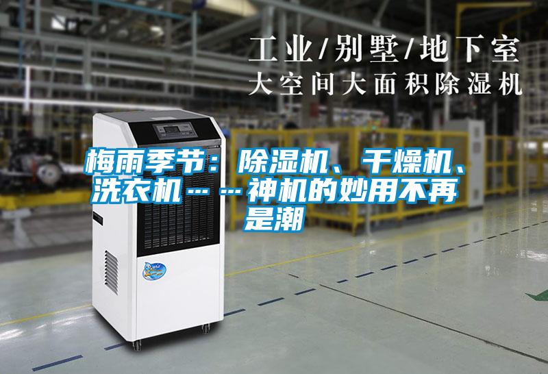 梅雨季節：除濕機、干燥機、洗衣機……神機的妙用不再是潮