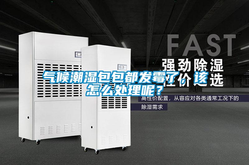 氣候潮濕包包都發(fā)霉了，該怎么處理呢？