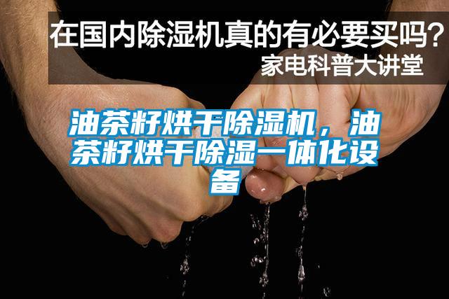 油茶籽烘干除濕機，油茶籽烘干除濕一體化設備