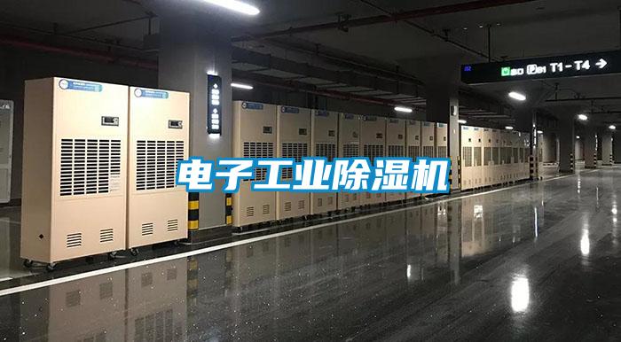 電子工業(yè)除濕機