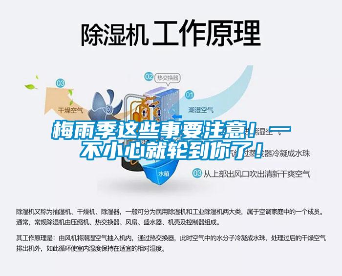 梅雨季這些事要注意！一不小心就輪到你了！