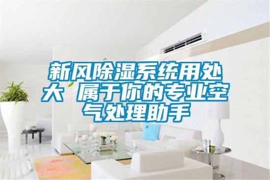 新風(fēng)除濕系統用處大 屬于你的專(zhuān)業(yè)空氣處理助手