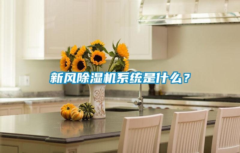 新風(fēng)除濕機系統是什么？