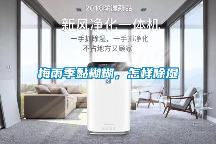 梅雨季黏糊糊，怎樣除濕