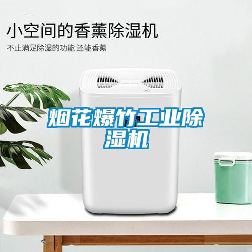 煙花爆竹工業(yè)除濕機