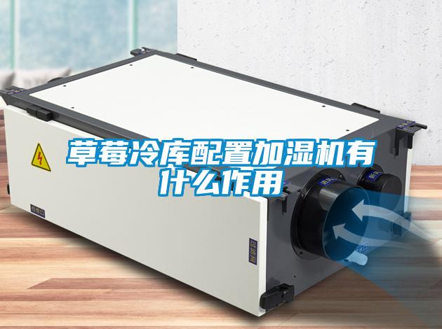 草莓冷庫配置加濕機有什么作用