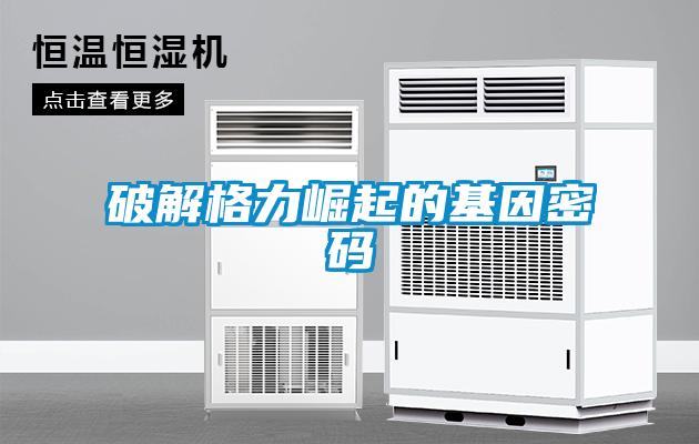 破解格力崛起的基因密碼