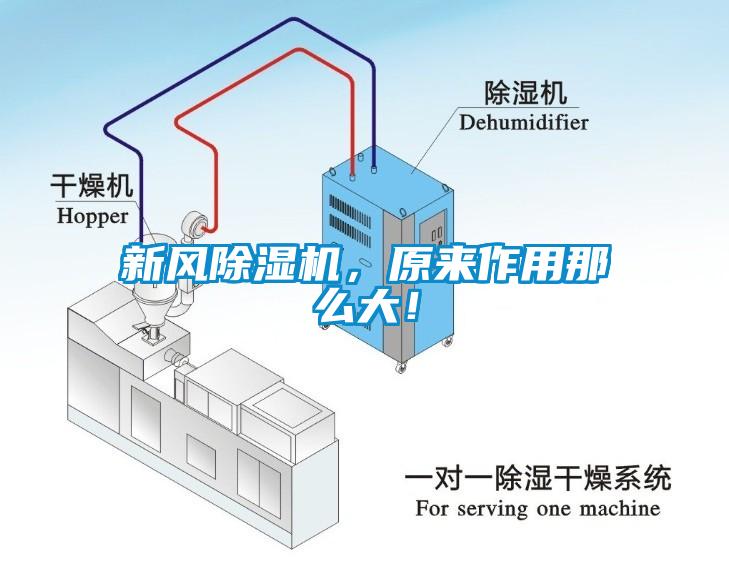新風(fēng)除濕機，原來(lái)作用那么大！