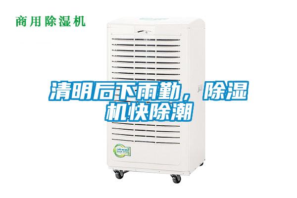 清明后下雨勤，除濕機快除潮