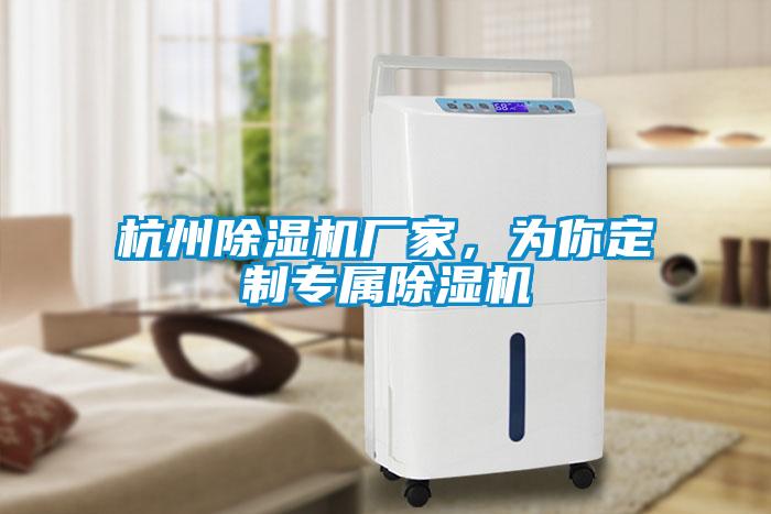 杭州除濕機廠(chǎng)家，為你定制專(zhuān)屬除濕機