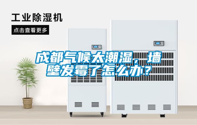 成都氣候太潮濕，墻壁發(fā)霉了怎么辦？