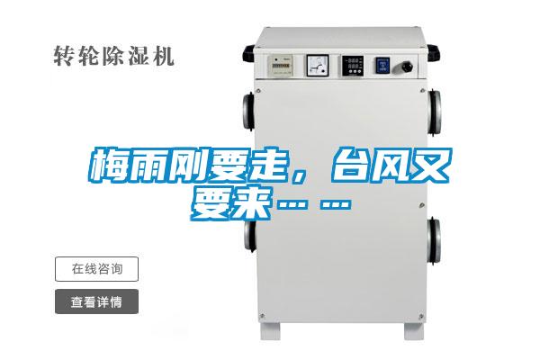 梅雨剛要走，臺風(fēng)又要來(lái)……