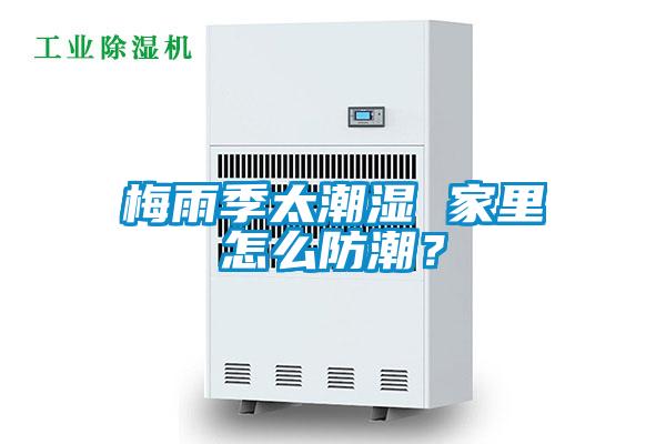 梅雨季太潮濕 家里怎么防潮？