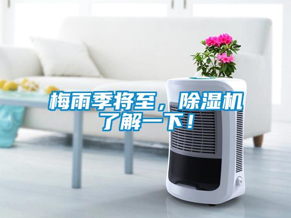 梅雨季將至，除濕機了解一下！