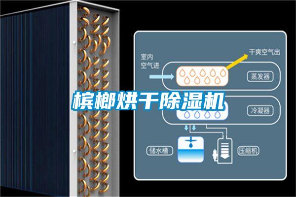 檳榔烘干除濕機