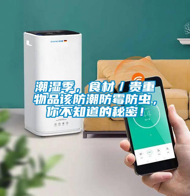 潮濕季，食材／貴重物品該防潮防霉防蟲(chóng)，你不知道的秘密！