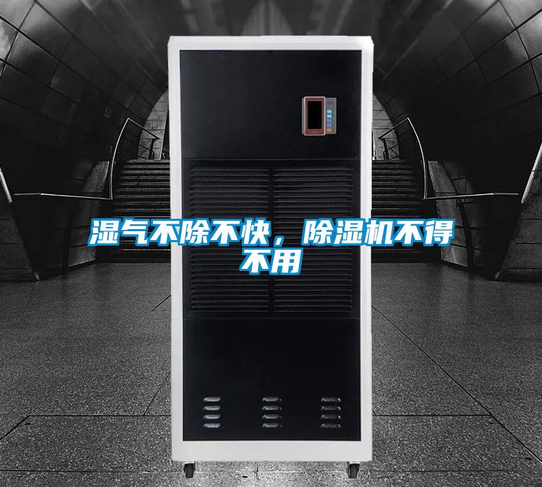 濕氣不除不快，除濕機不得不用