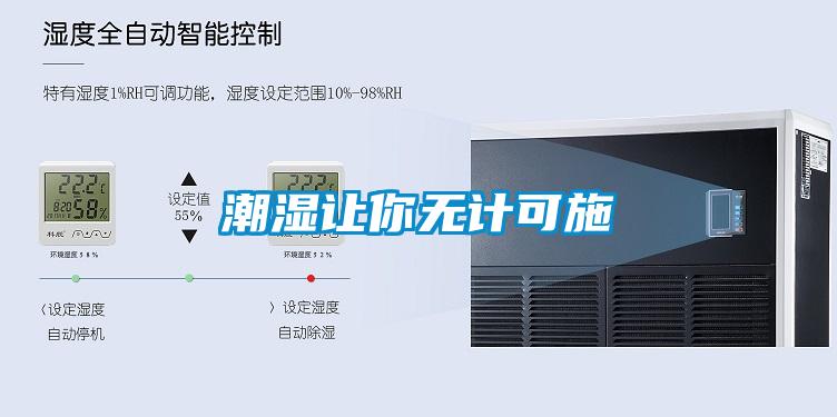 潮濕讓你無(wú)計可施