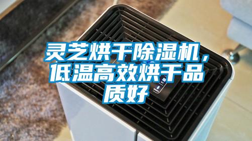 靈芝烘干除濕機，低溫高效烘干品質(zhì)好