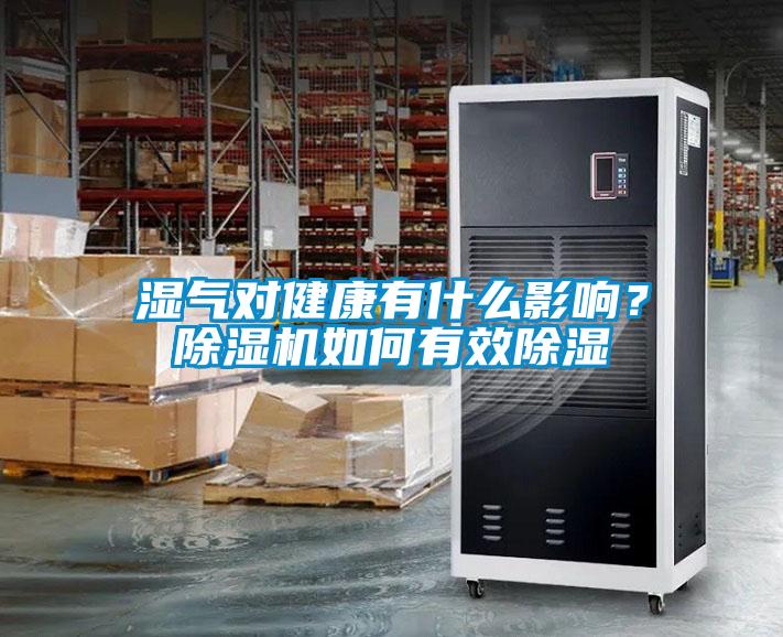 濕氣對健康有什么影響？除濕機如何有效除濕