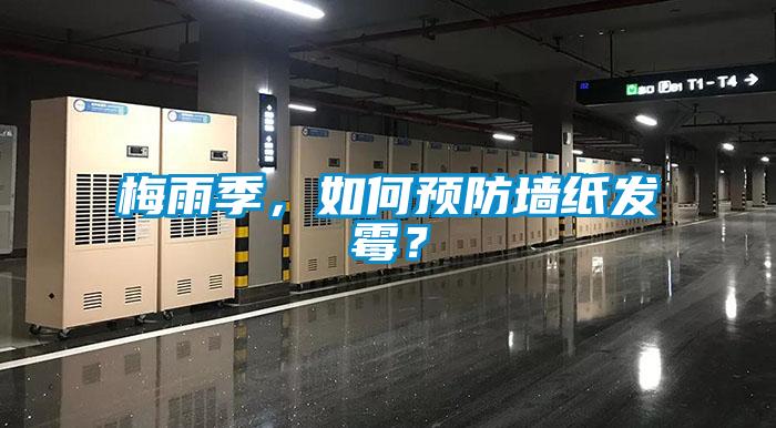 梅雨季，如何預防墻紙發(fā)霉？