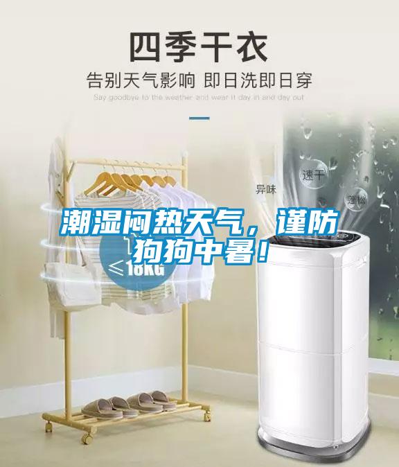 潮濕悶熱天氣，謹防狗狗中暑！