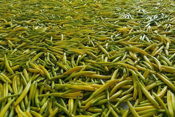 無(wú)硫金針菜烘干如何保持品相？不發(fā)黑？