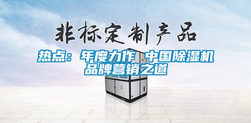 熱點(diǎn)：年度力作 中國除濕機品牌營(yíng)銷(xiāo)之道